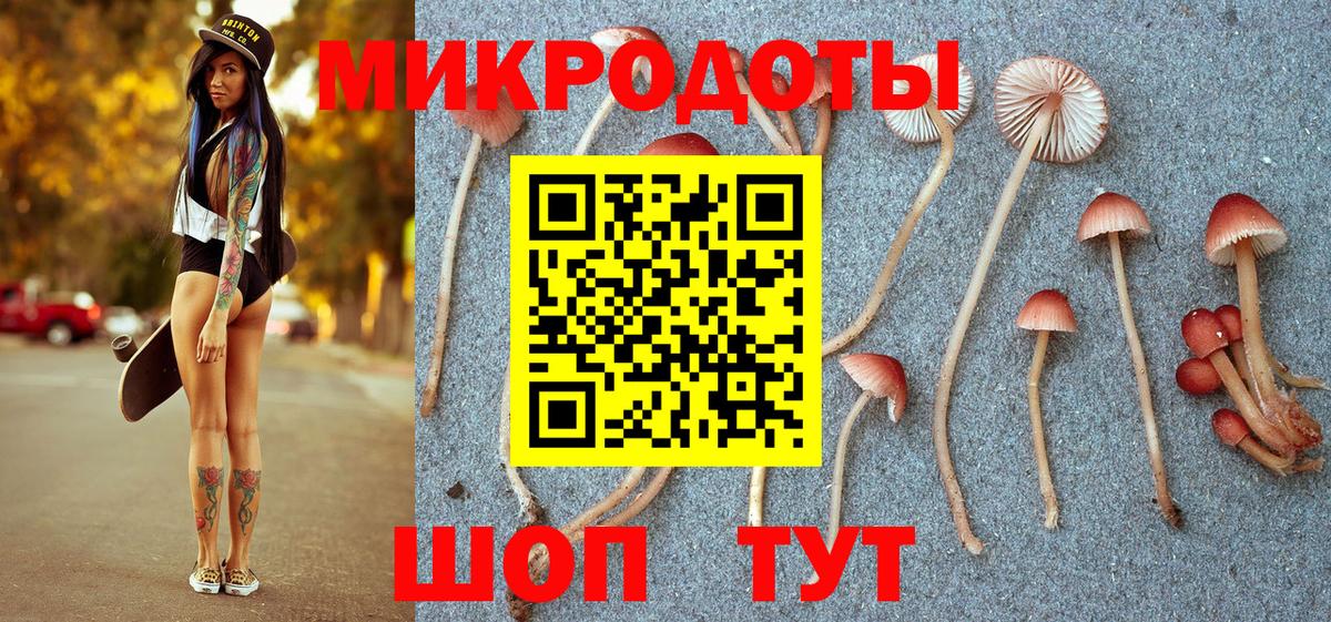 Галлюциногенные грибы мухоморы Надым